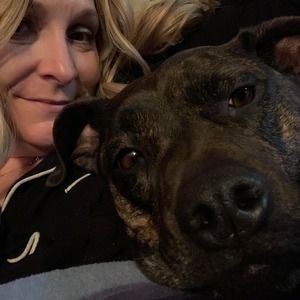 Meet your Posher, Brie